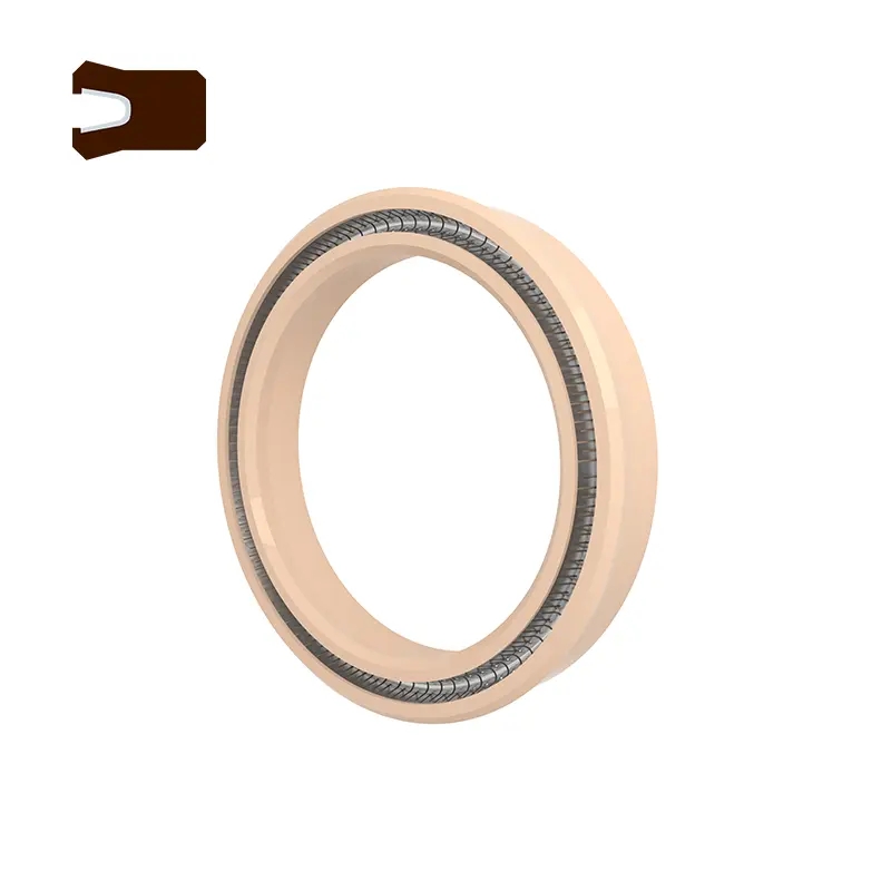 Ano ang mga pakinabang ng radial spring energized seal na ito?