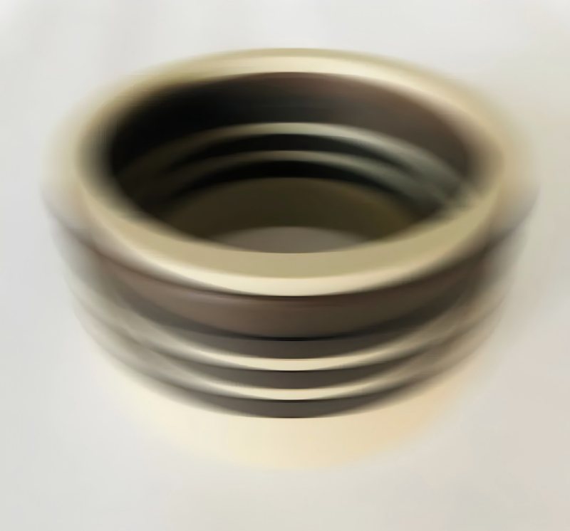 Ang 600MPA Water Medium ng Ruichen Seal