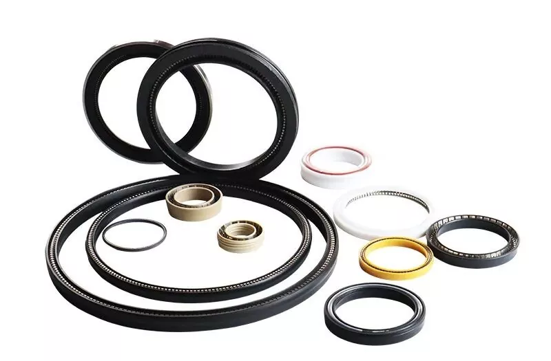 Pangunahing Kaalaman sa Spring-Energized Seal