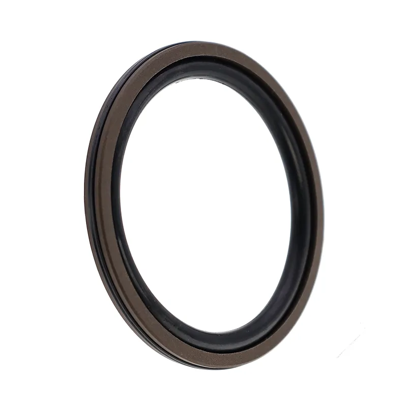AQ Type PTFE Compound Seal