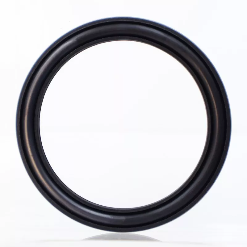 Composite Spring Energized Seal
