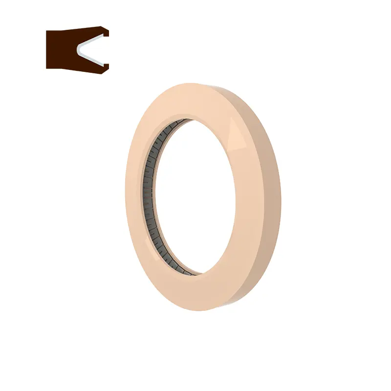 End flange spring energized seals