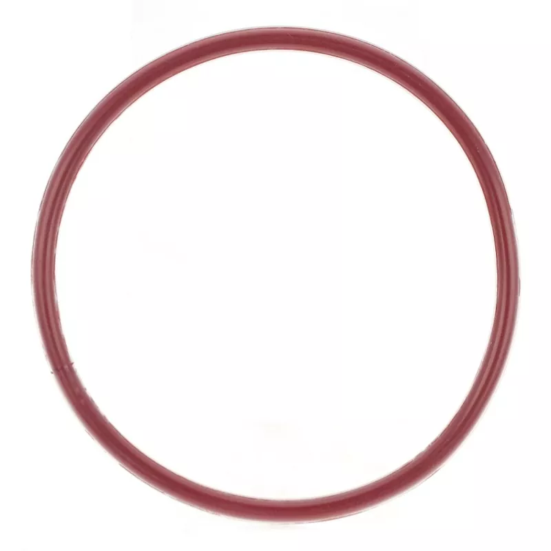 FEP/PFA Encapsulated O-Ring