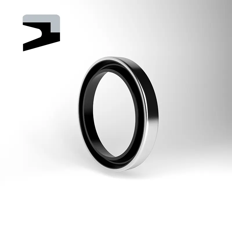 Hydraulic dust seals