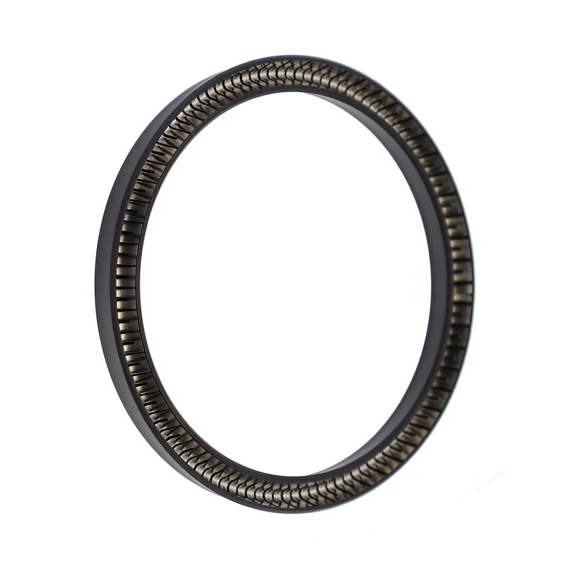 PTFE Spring-Energized Rod Seals