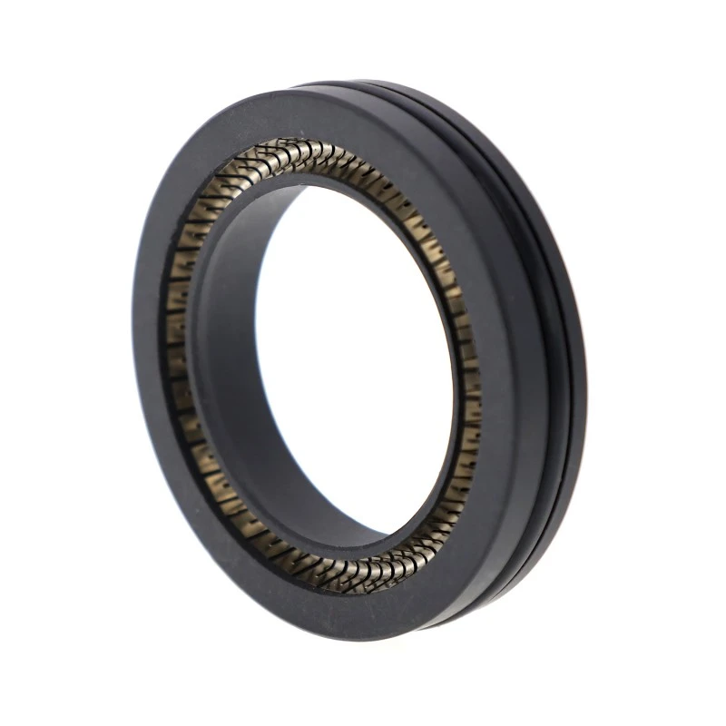 PTFE Spring-Energized Seal para sa Rotary