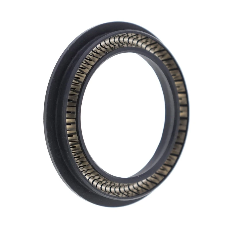 Spring-Energized Seal para sa Rotary Shafts