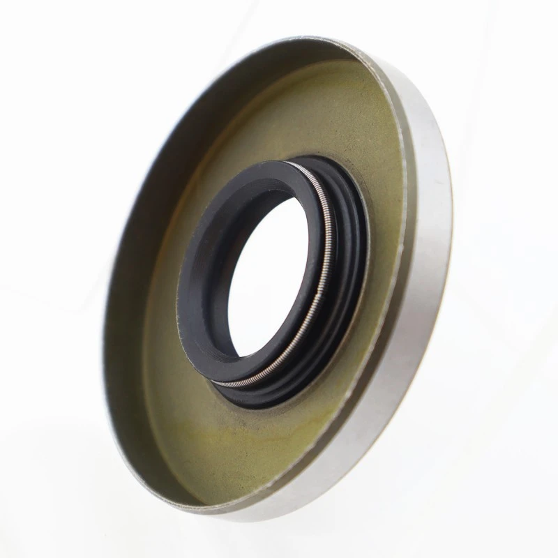 Mga Oil Seal ng TB/SB