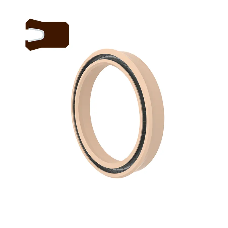 Universal Spring Energized Seal para sa Shaft Hole